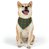 Rainbow Rover Dog Collar Bandana